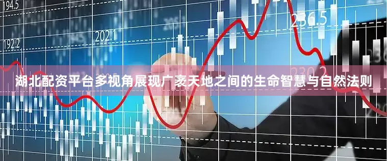 湖北配资平台多视角展现广袤天地之间的生命智慧与自然法则