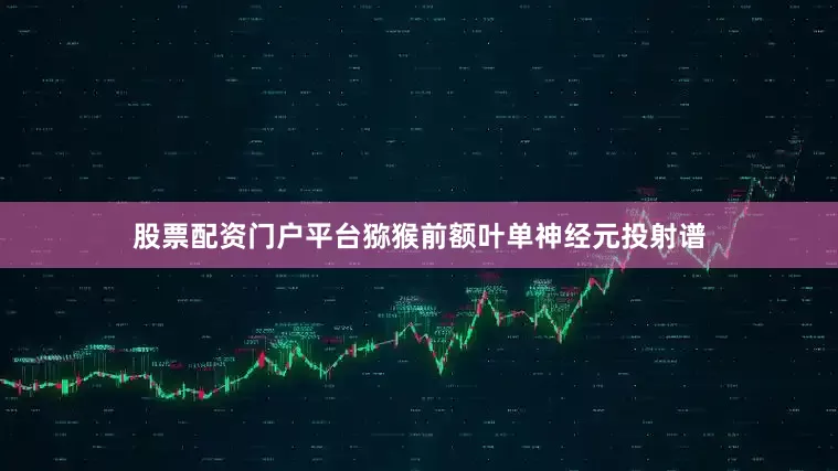 股票配资门户平台猕猴前额叶单神经元投射谱